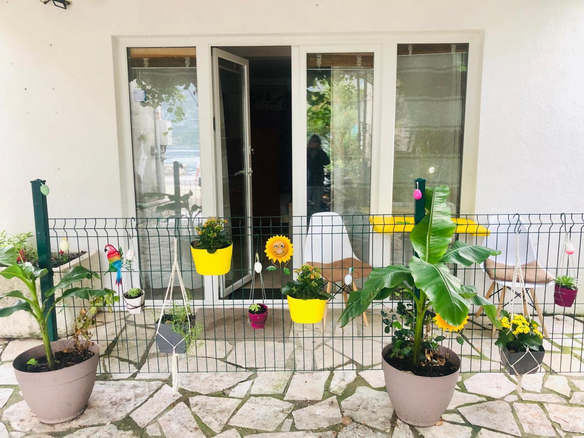 Apartments Djurovic Kotor Phòng bức ảnh